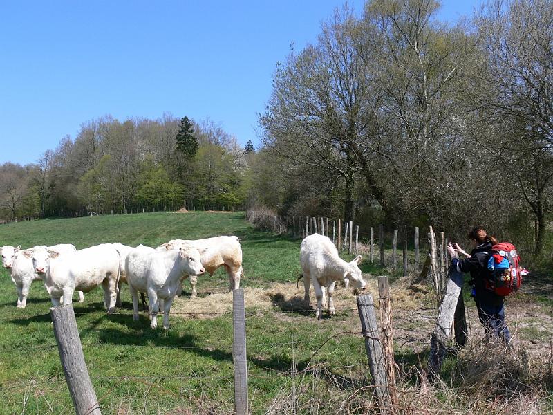 Mont Saint Michel 2010 - 028.jpg